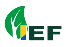 IEF